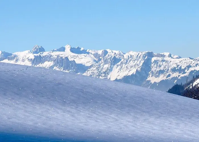 Апартаменты Molto Haus *