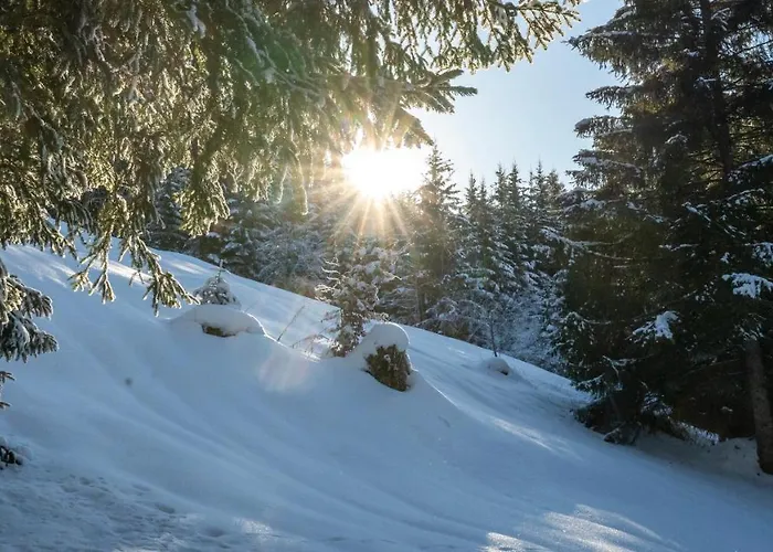 Apartment Molto Haus *